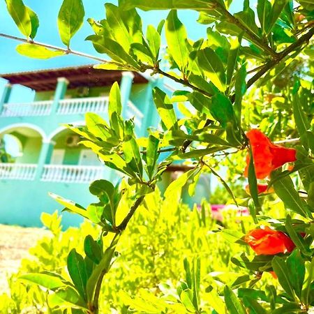 Green Hill House Agios Georgios Pagon Exterior foto