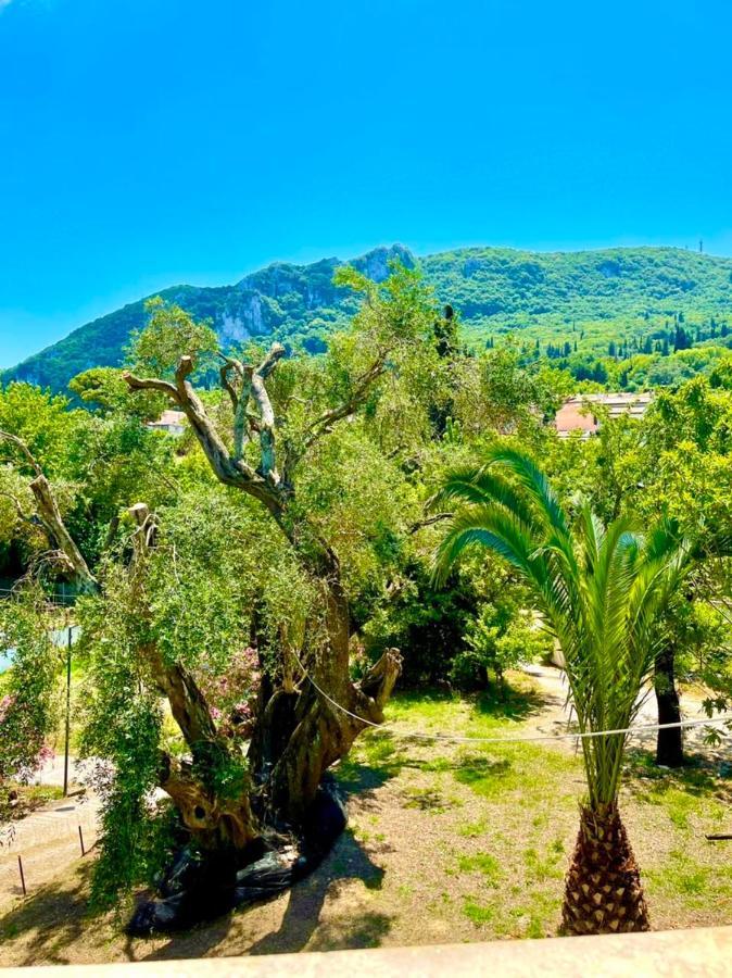 Green Hill House Agios Georgios Pagon Exterior foto