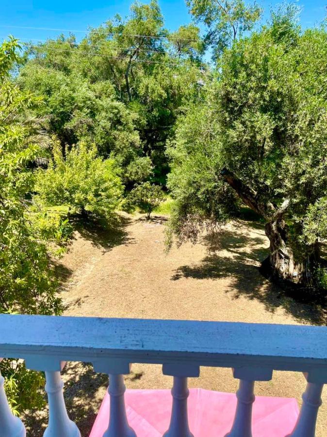 Green Hill House Agios Georgios Pagon Exterior foto